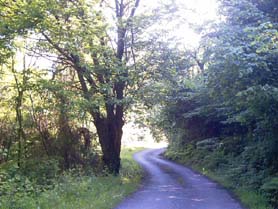 Carretera Cotomonteros