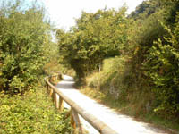 Senda del Oso